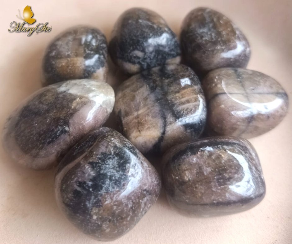 CHIASTOLITE - MARYSTE'